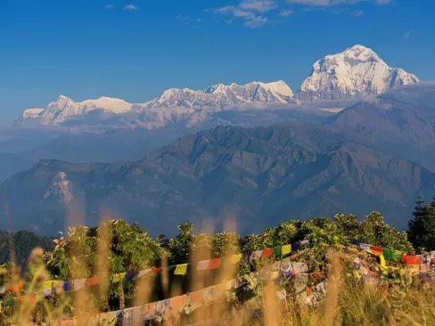 Ghorepani Poon Hill Trek