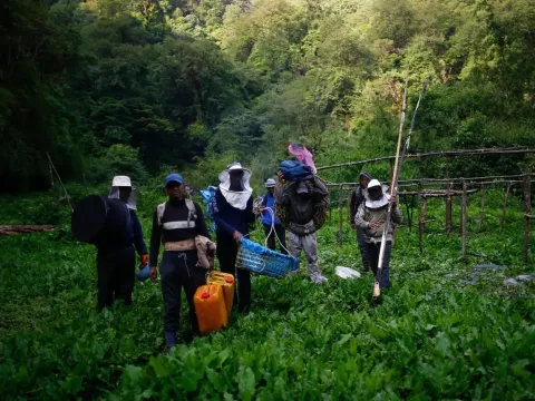 Honey Hunting Tour in Nepal