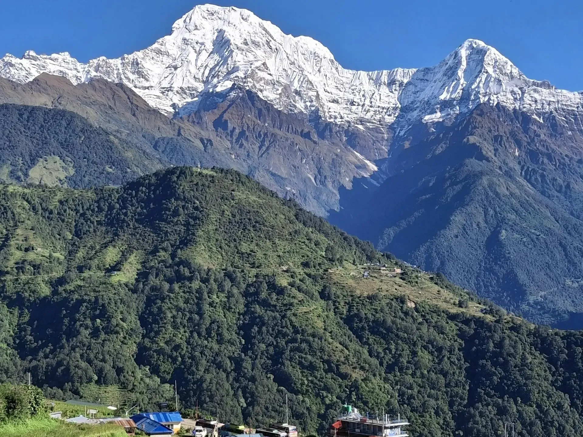 Annapurna Base Camp vs Annapurna Circuit: Which Himalayan Trek is Right for You?