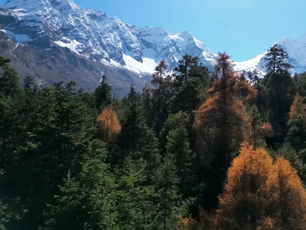 The Vanishing Villages of Manaslu: How Climate Change is Reshaping Nepal's Hidden Trekking Gem (And What Trekkers Can Do)