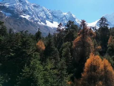The Vanishing Villages of Manaslu: How Climate Change is Reshaping Nepal's Hidden Trekking Gem (And What Trekkers Can Do)