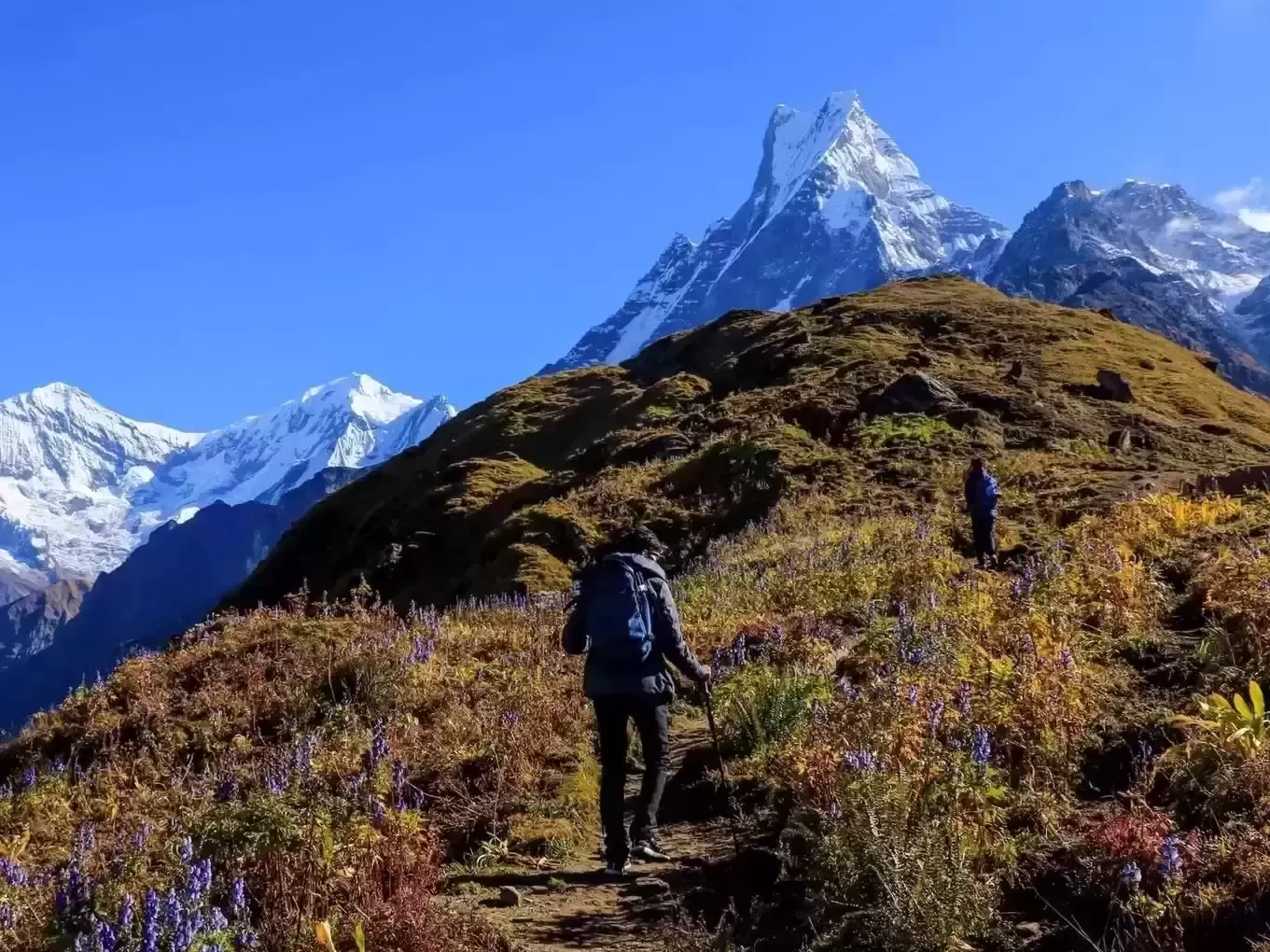 Explore Nepal: Top Trekking Regions and Packages for 2024/2025