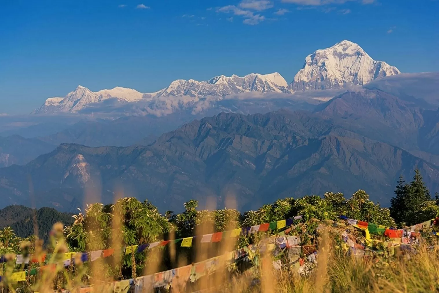 Ghorepani Poon Hill Trek