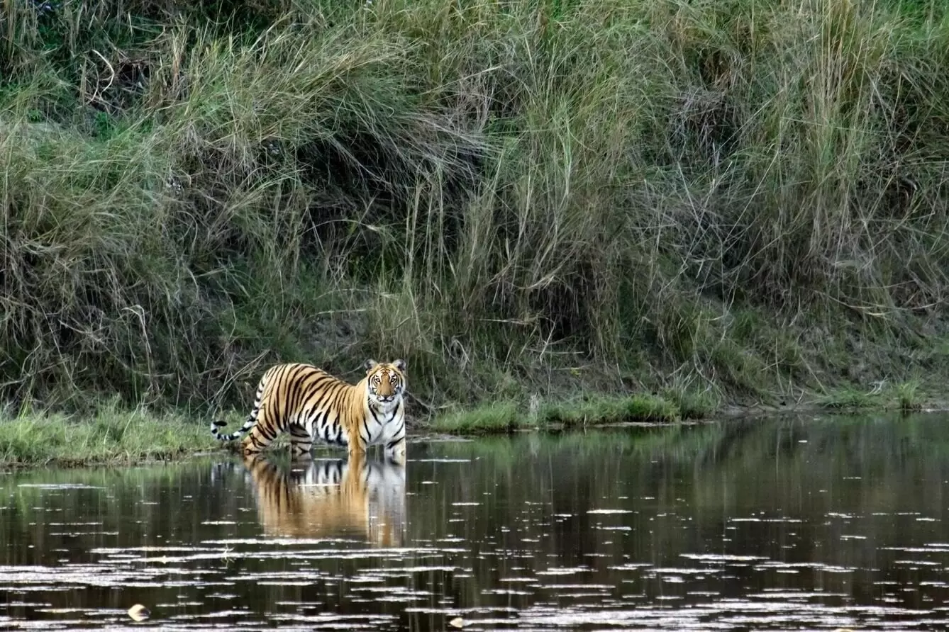 Bardiya National Park Tour