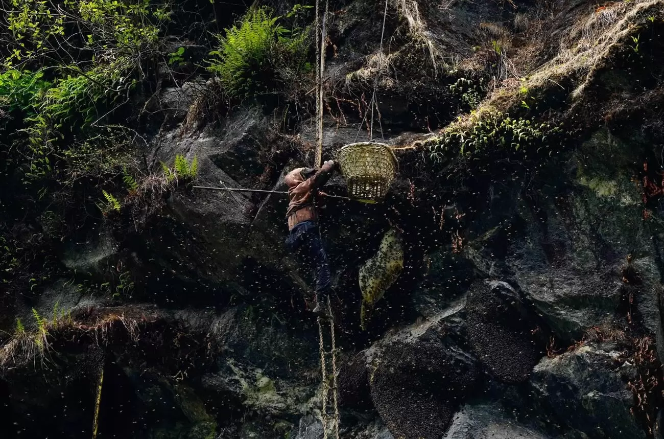 Honey Hunting Tour in Ludi