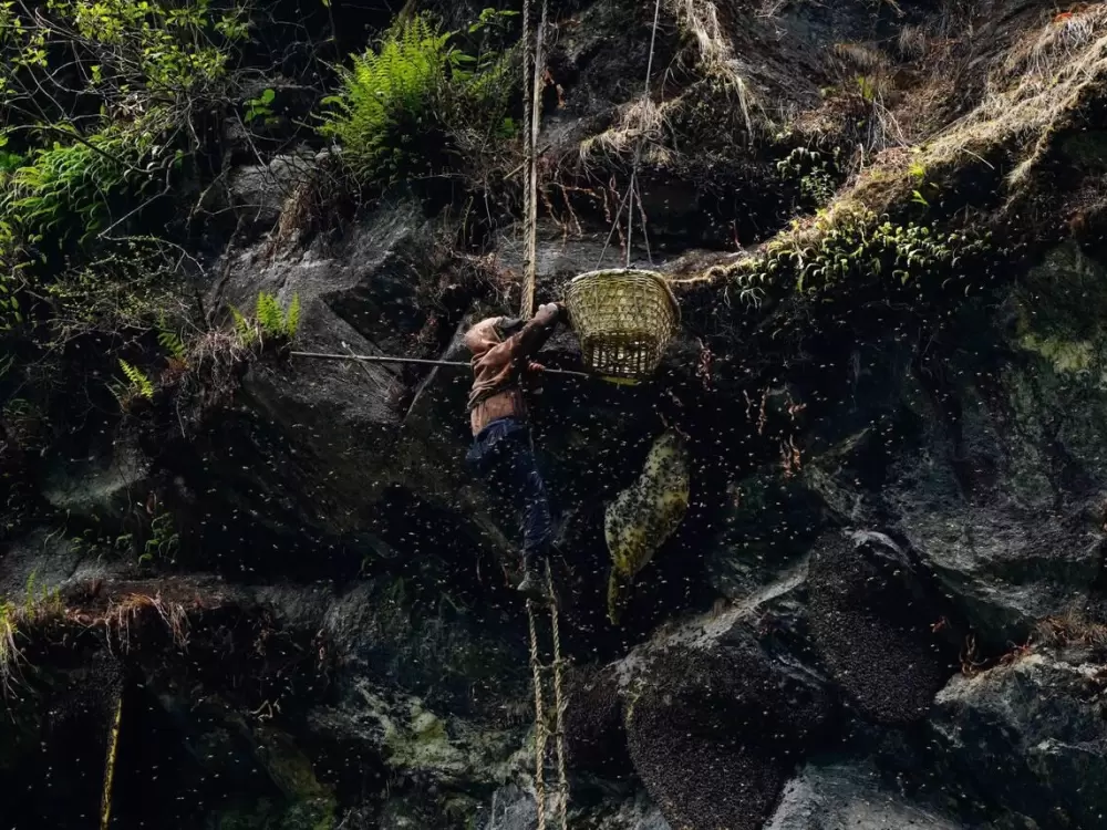 Honey Hunting Tour in Ludi