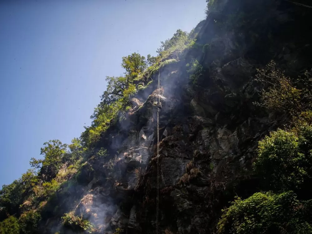 Honey Hunting Tour in Lamjung, Siurikhola