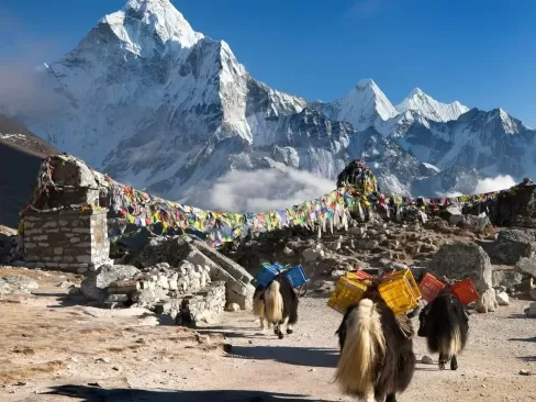 Ama Dablam Expedition